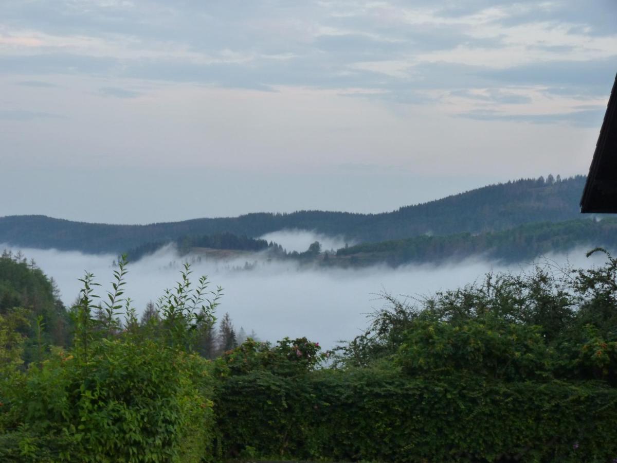 Hoffmanns Hotel Waldfrieden Garni Sankt Andreasberg Buitenkant foto