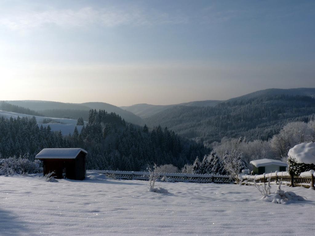 Hoffmanns Hotel Waldfrieden Garni Sankt Andreasberg Buitenkant foto