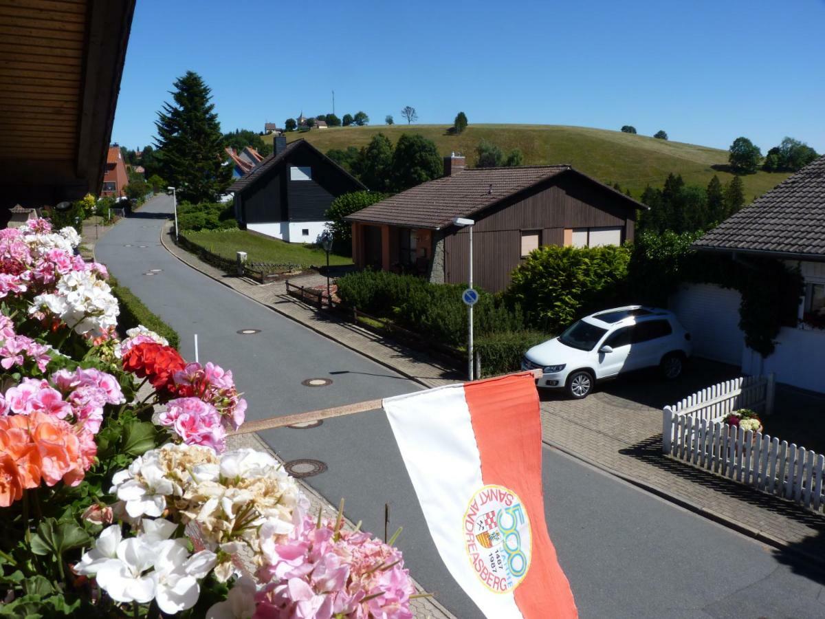 Hoffmanns Hotel Waldfrieden Garni Sankt Andreasberg Buitenkant foto