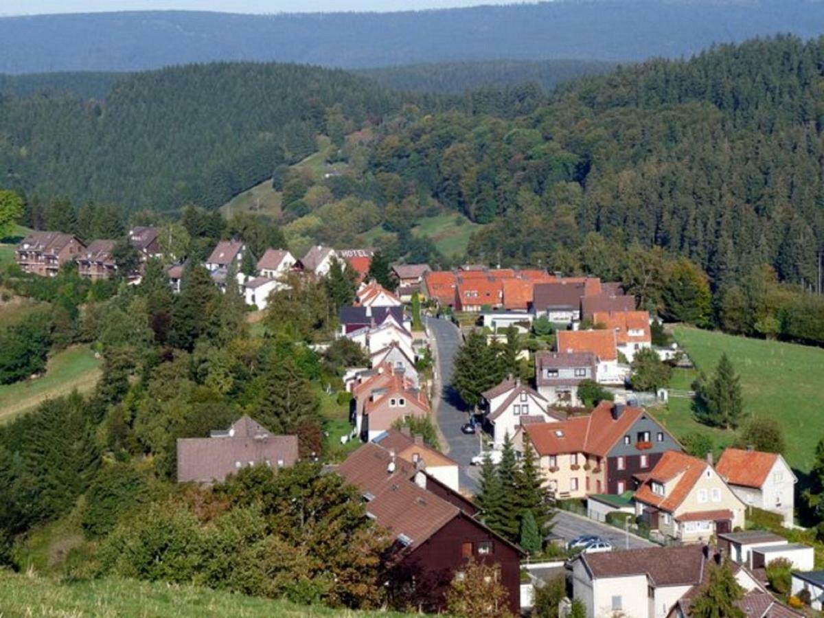 Hoffmanns Hotel Waldfrieden Garni Sankt Andreasberg Buitenkant foto