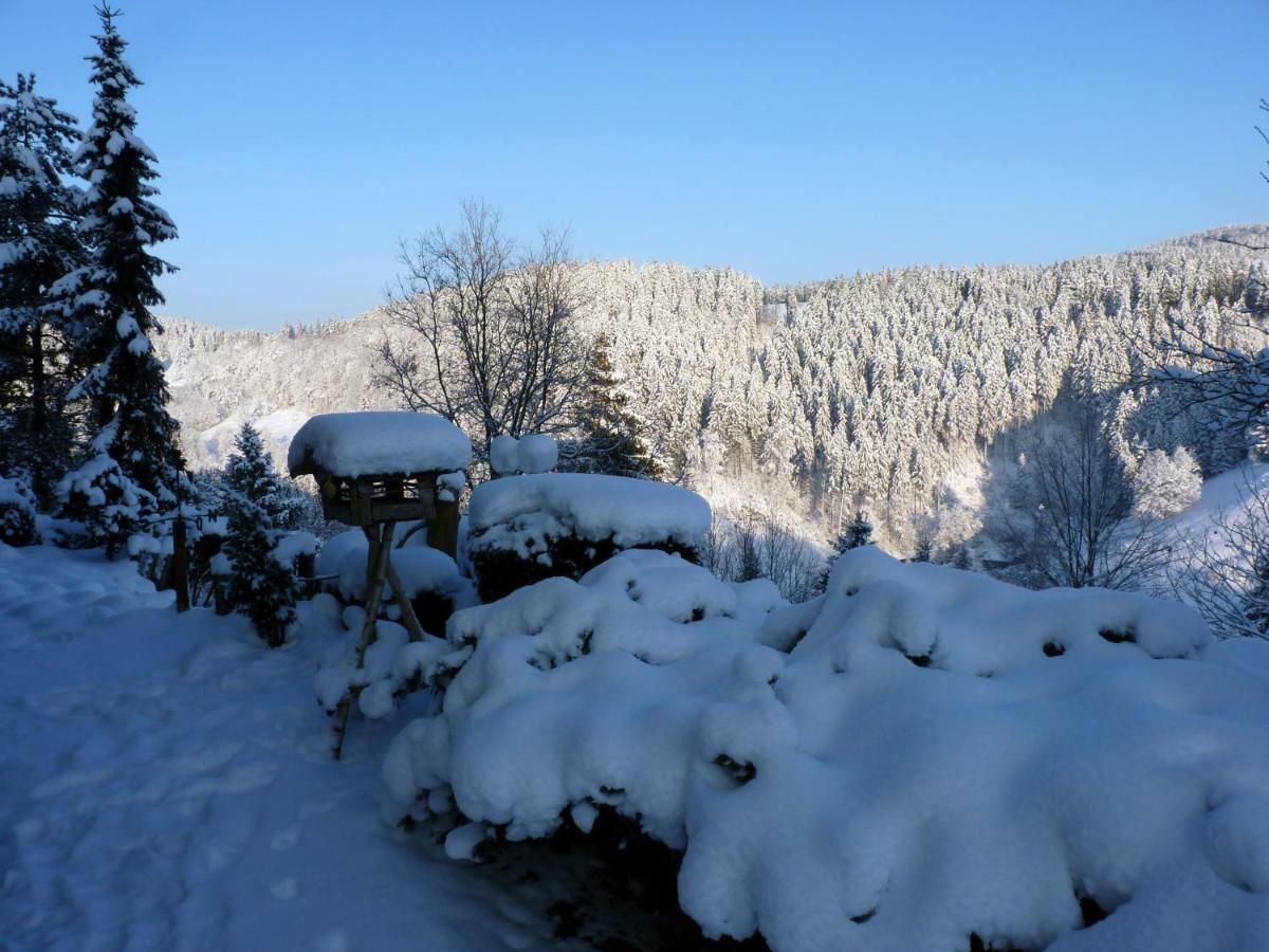 Hoffmanns Hotel Waldfrieden Garni Sankt Andreasberg Buitenkant foto